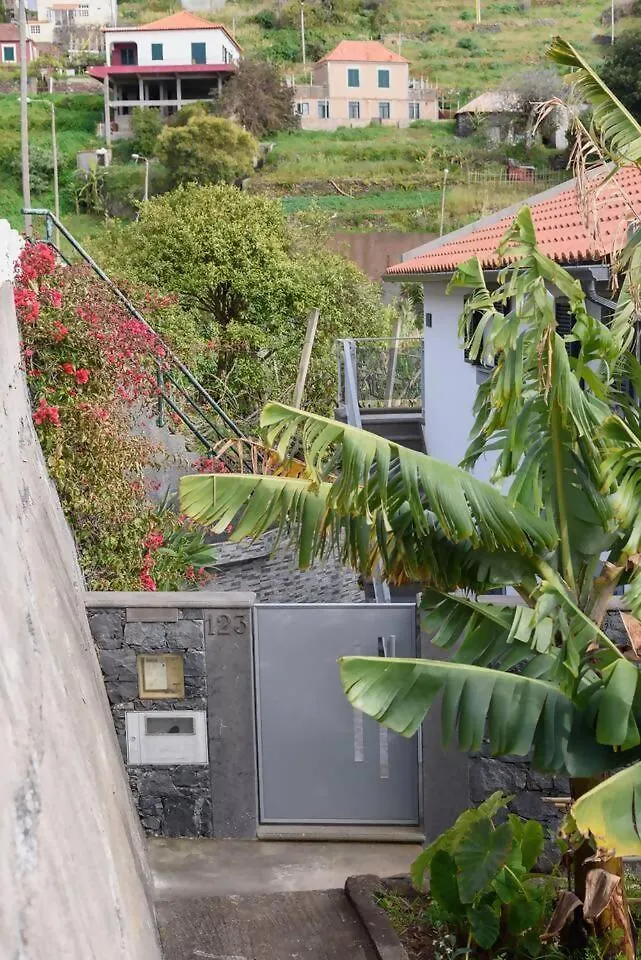 Vivenda Carlota Sea View By Mth Apartman Ribeira Brava